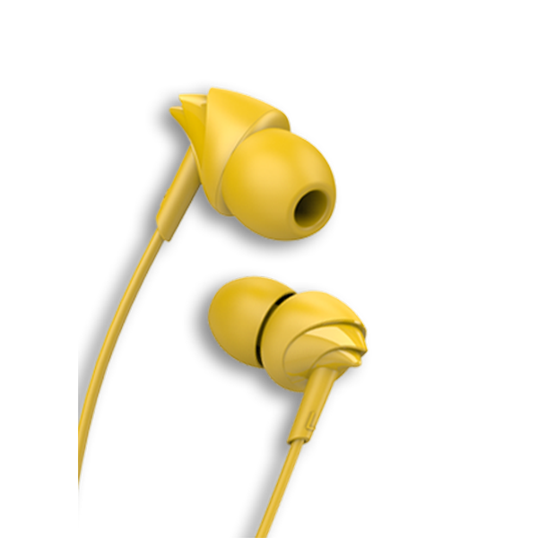 BassHeads 100 CSK Edition