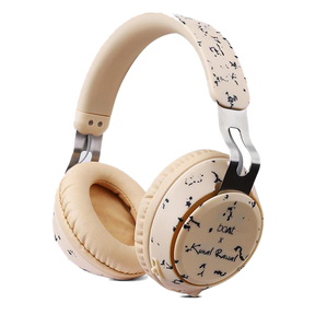 Rockerz 480 Kunal Rawal Edition